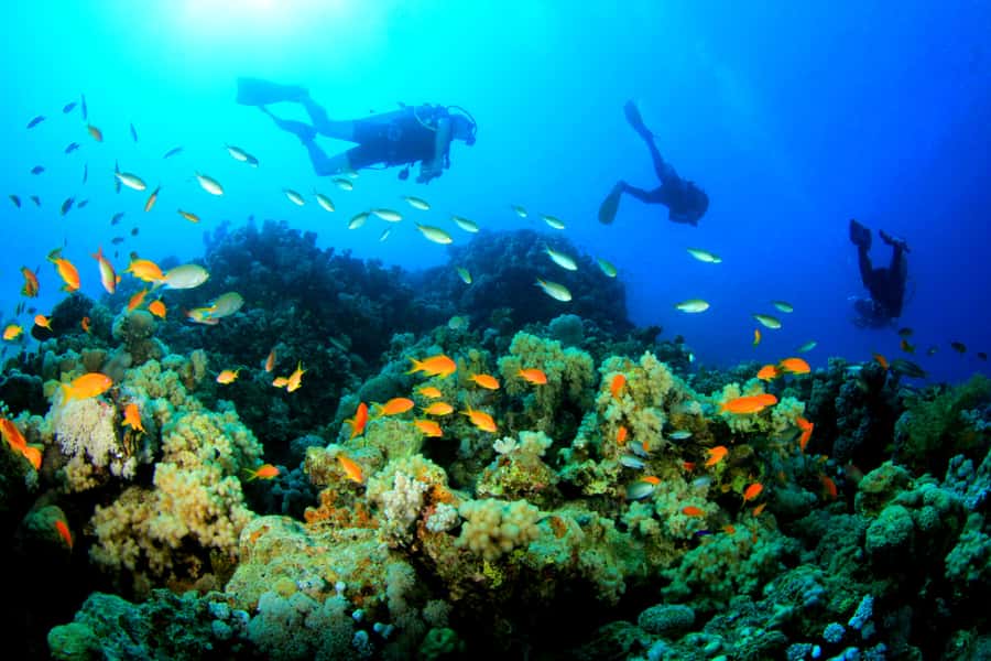 Discover Tumbatu Island: Private Snorkeling Adventure - What the three-hour schedule feels like