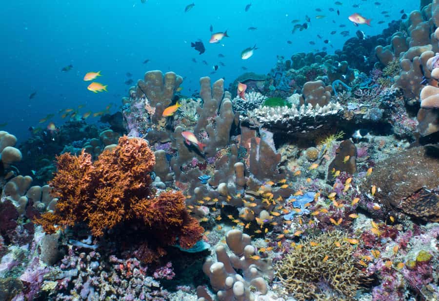 Discover Tumbatu Island: Private Snorkeling Adventure - Is $49 a fair price?