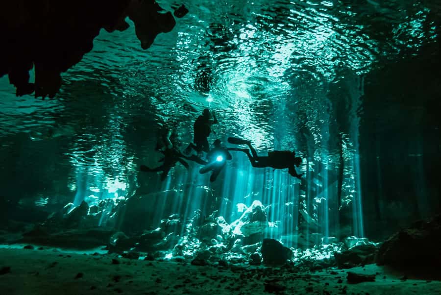 Discover Tumbatu Island: Private Snorkeling Adventure - Service that earns credit