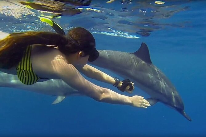 Dolphin and Tumbatu Island Snorkeling Tour with Pickup - Timing, meeting point, and the return