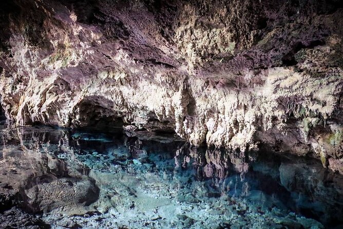 Dolphin tour, Jozani Forest, Jambiani Kuza Cave, Paje Beach &The Rock restaurent - Paje Beach and the changing coastline