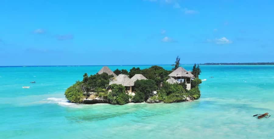 Dolphin Tour, Jozani Forest, Prison Island, Island Pongwe - Should you book this Zanzibar day tour?