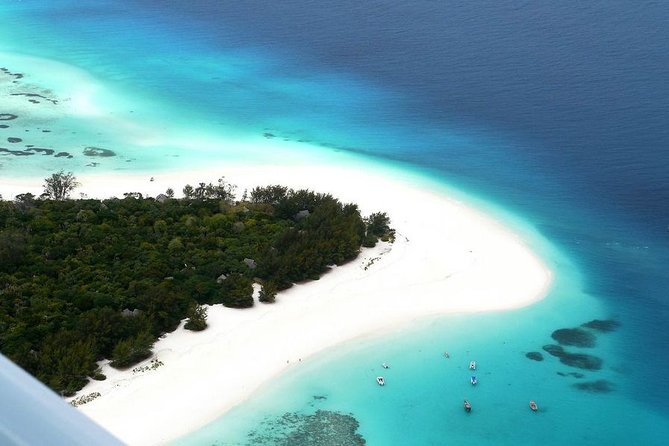 Dolphin Tour, Jozani Forest Tour, Kuza Cave Tour, Paje Beach,The Rock Restaurant - Mnemba Island Atoll: the morning’s main event