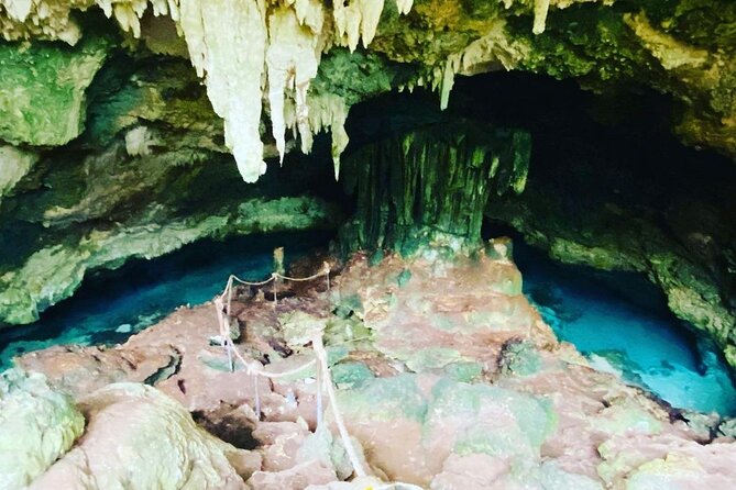 Dolphin Tour; Kuza Cave Tour; Paje Beach; The Rock Restaurant; Jozani Forest - Making room for The Rock Restaurant