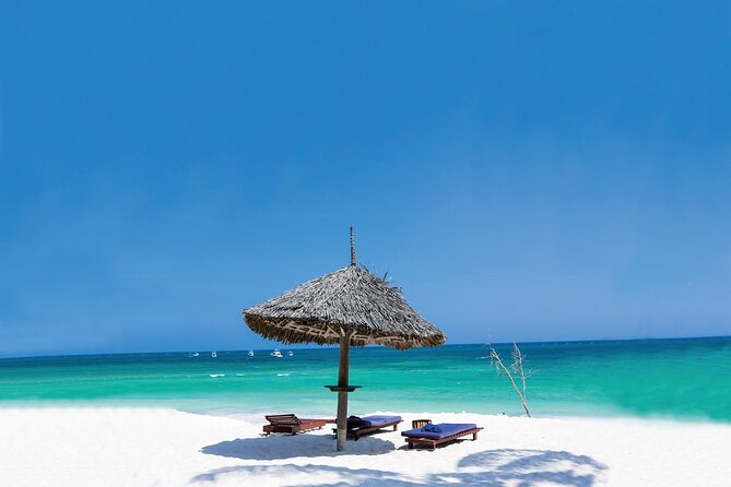 Dolphin Tour; Kuza Cave Tour; Paje Beach; The Rock Restaurant; Jozani Forest - A nine-hour day needs sensible expectations