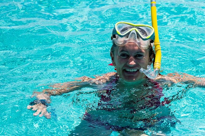 Dolphin Tour & Snorkeling at Mnemba Island - The dolphin search in open water