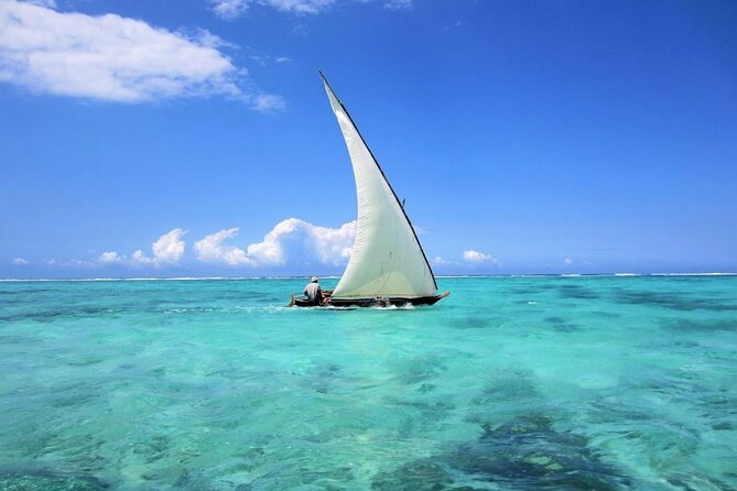 Dolphin Tour & Snorkeling at Mnemba Island - How much value do you get for $240?