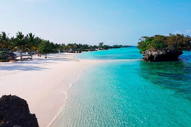 Dolphin Watching Tour & Josani Forest Sea Trip - Zanzibar - The early ride to Jozani Forest