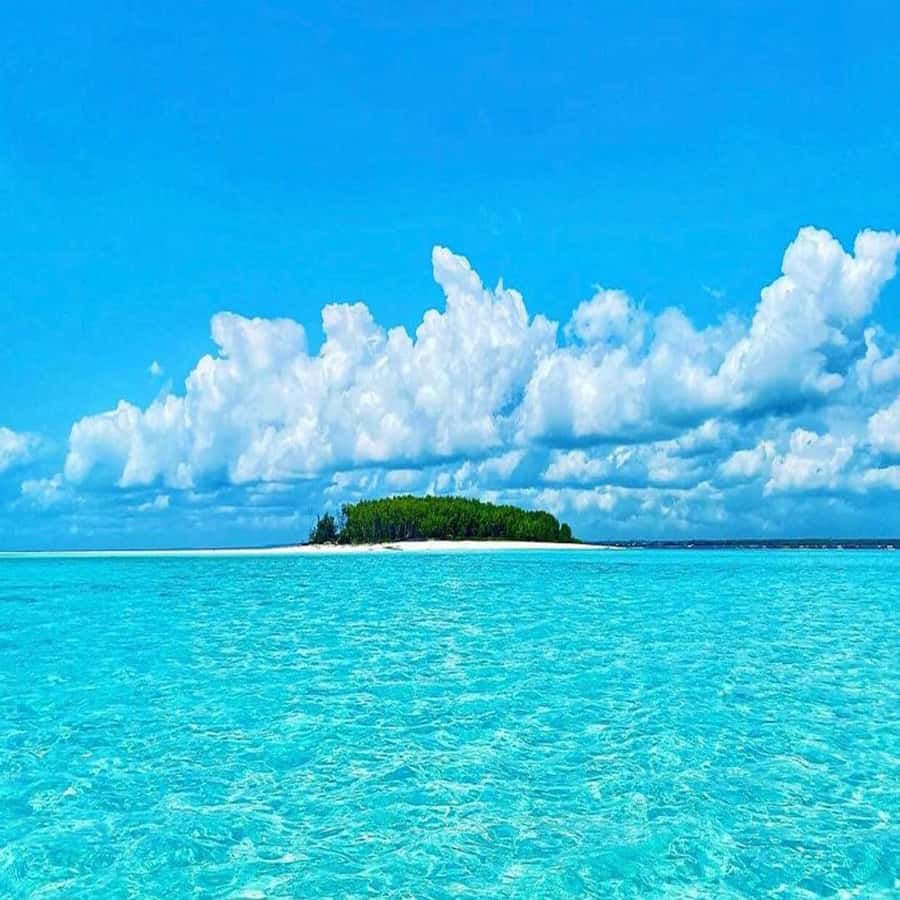 Dolphins & Snorkeling Zanzibar: Mnemba Island Tour - Reaching Mnemba from Zanzibar’s northeast coast