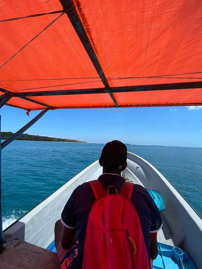 Dolphins tour and turtles swimming in kizimkazi - The guide and local character
