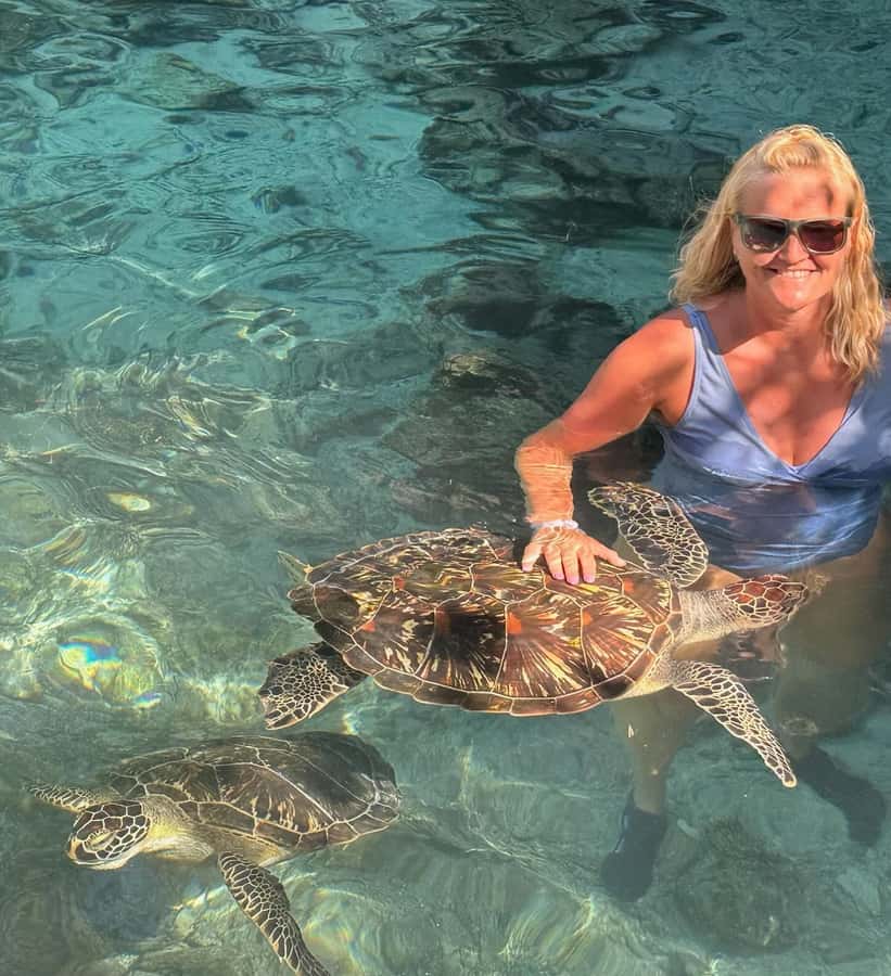 Dolphins tour + mnemba island snorkeling + salaam turles - Key points to know before booking