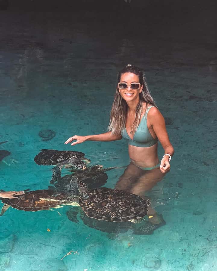 Dolphins tour + mnemba island snorkeling + salaam turles - Searching for dolphins in open water