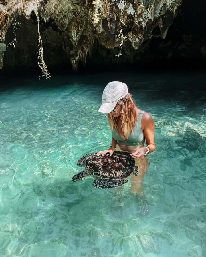 Dolphins tour + mnemba island snorkeling + salaam turles - From your hotel to the Zanzibar coast