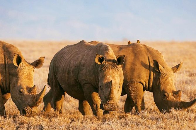 Elephant Special Serengeti & Ngorongoro Crater 5 Days / 4 Nights - Lake Manyara closes the trip with forest and water