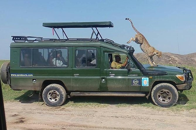 Elephant Special Serengeti & Ngorongoro Crater 5 Days / 4 Nights - The Land Cruiser setup makes a real difference