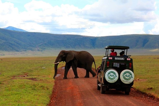 Elephant Special Serengeti & Ngorongoro Crater 5 Days / 4 Nights - Accommodation is the main area to check carefully