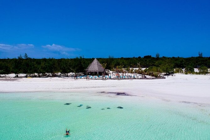 Exclusive Full-Day Zanzibar Adventure: Jozani Forest, Hidden Gems - Private transport and guide style
