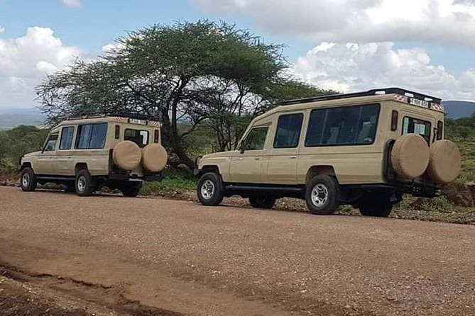 Experience A Taste of Local Life in Luxury Safari - Day 1: Elephants and open country in Tarangire