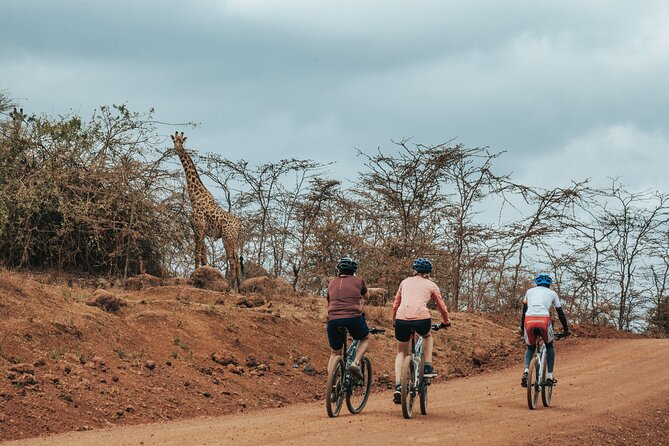 Explore the 360° of Kilimanjaro - What this Kilimanjaro bike route is really like