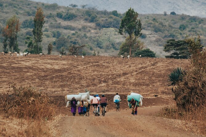 Explore the 360° of Kilimanjaro - Day 3: Elephants and open plains in Enduimet