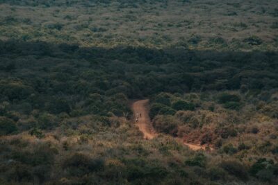 Explore the 360° of Kilimanjaro