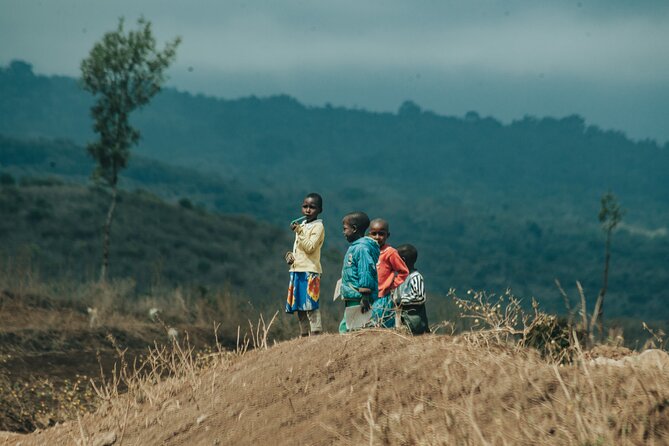 Explore the 360° of Kilimanjaro - Day 6: Climbing through Marangu to Ndoro Waterfall