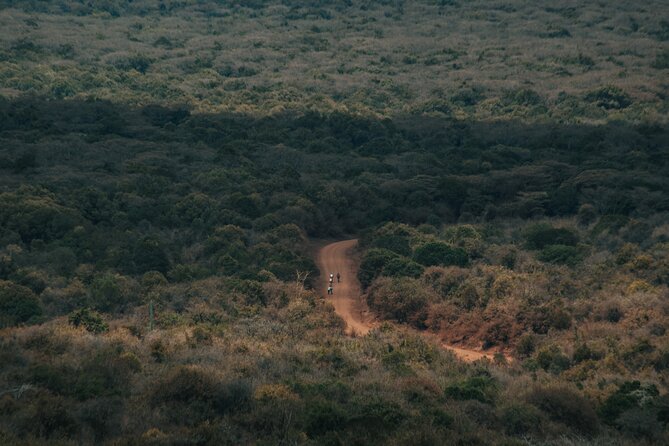 Explore the 360° of Kilimanjaro - Day 1: Bike fitting and a gentle introduction near Moshi