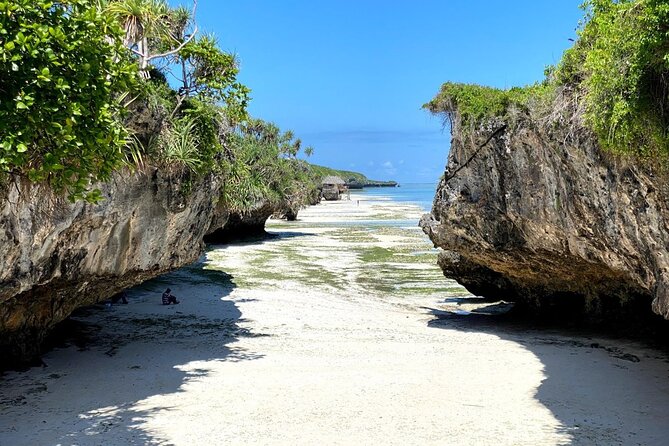 Explore Zanzibar's 6 Quintessential Southeastern Charm Full day - Kizimkazi Dimbani and Salaam Cave