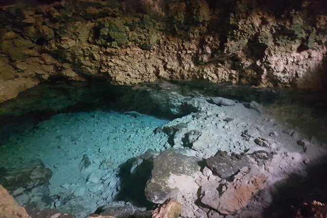 Exploring the Hidden Gems of Zanzibar - Three hours at Bwejuu for coral gardens and starfish