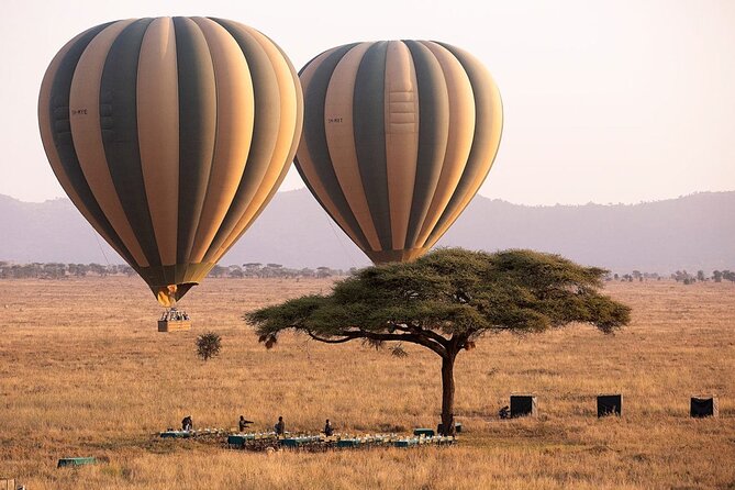 Extraordinary Hot air Bolloon ride in Serengeti | BURIGI CHATO SAFARIS CO L.T.D - Key points at a glance