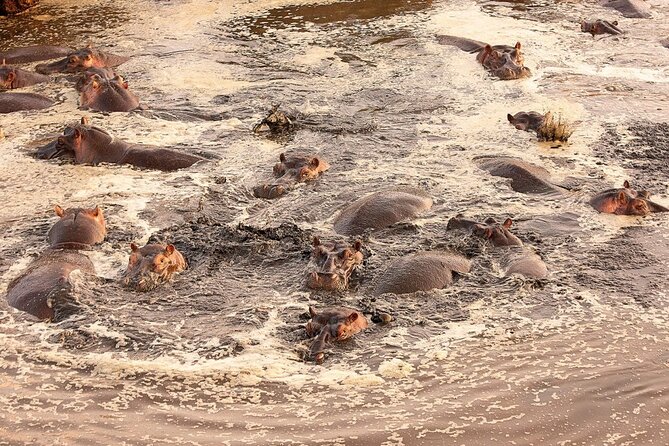 Extraordinary Hot air Bolloon ride in Serengeti | BURIGI CHATO SAFARIS CO L.T.D - Why a Serengeti balloon flight feels so different