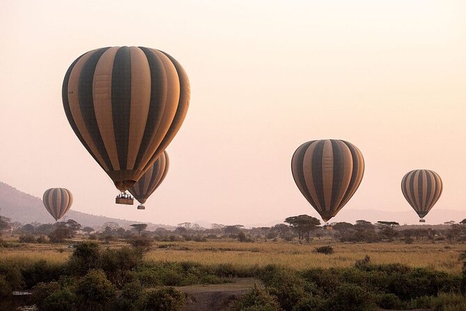 Extraordinary Hot air Bolloon ride in Serengeti | BURIGI CHATO SAFARIS CO L.T.D - Landing, champagne, and the bush breakfast