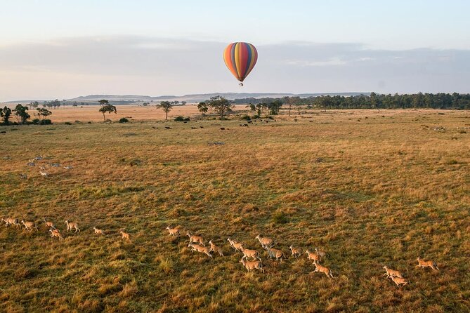 Extraordinary Hot air Bolloon ride in Serengeti | BURIGI CHATO SAFARIS CO L.T.D - Weather, timing, and the fine print