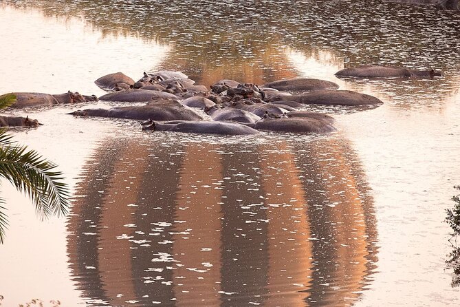 Extraordinary Hot air Bolloon ride in Serengeti | BURIGI CHATO SAFARIS CO L.T.D - Who will enjoy this safari most