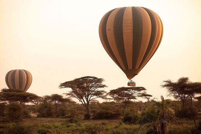 Extraordinary Hot air Bolloon ride in Serengeti | BURIGI CHATO SAFARIS CO L.T.D - The 5:00 a.m. pickup and transfer to Maasai Copjes