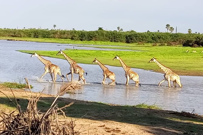 Flight Package Zanzibar to Nyerere National Park (Selous GR) 3 Days 2 Nights - Who should book this safari?