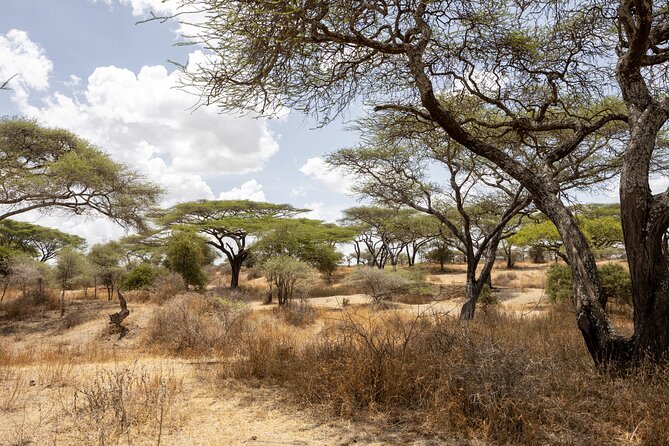 From Arusha : 11-day Amazing North Tanzania safari tour - Ngorongoro Rim gives you the first great view