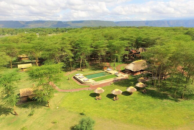 From Arusha: 11 days The Classics Northern Tanzania safari - Day 2: Elephants and open country in Tarangire