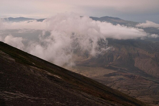 From Arusha : 11 days The Complete Africa Safari North Tour - What this northern circuit safari does well