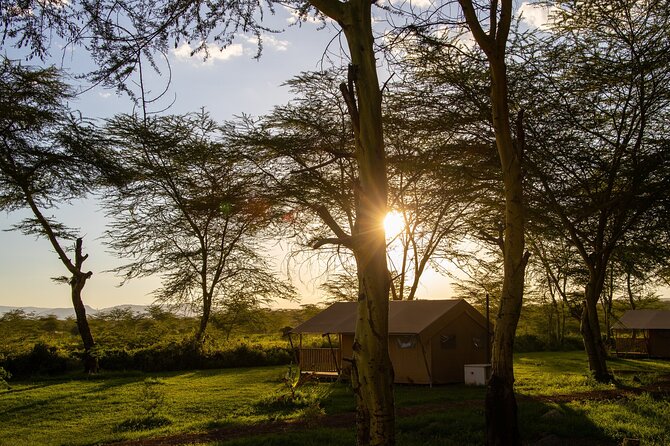 From Arusha: 5 Days Classic Safari Cats, Calves & Crater - Day 5: Returning from Karatu to Arusha