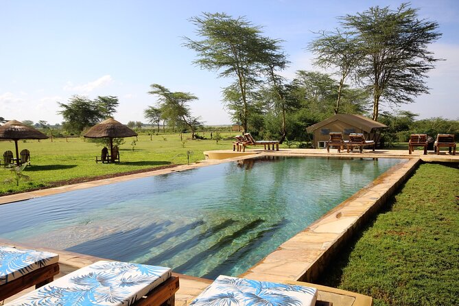 From Arusha: 5 Days Classic Safari Cats, Calves & Crater - Day 2: Crossing Ngorongoro to Ndutu