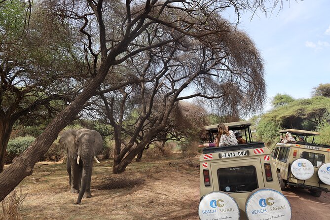 From Arusha: 6 Day Classic Game Drive Serengeti & Ngorongoro - Day 2: Through Ngorongoro to Lake Ndutu