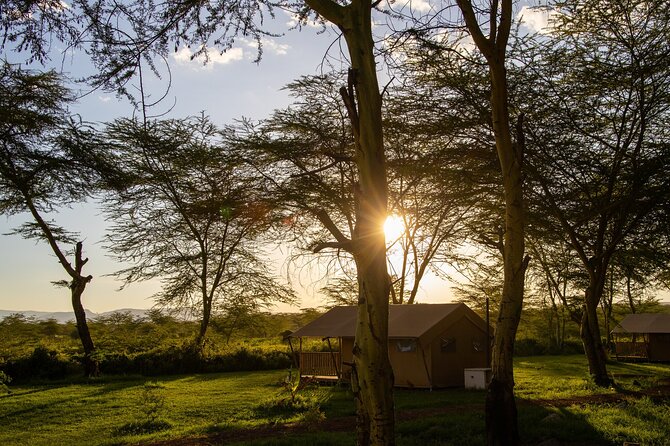 From Arusha: 7-Day Discovery of the real Africa from Lake Manyara - Day 1: Arusha to Africa Safari Lake Manyara