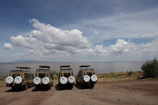 From Arusha: 7-Day Discovery of the real Africa from Lake Manyara - Day 2: A free day for birds, zip lines, or rest