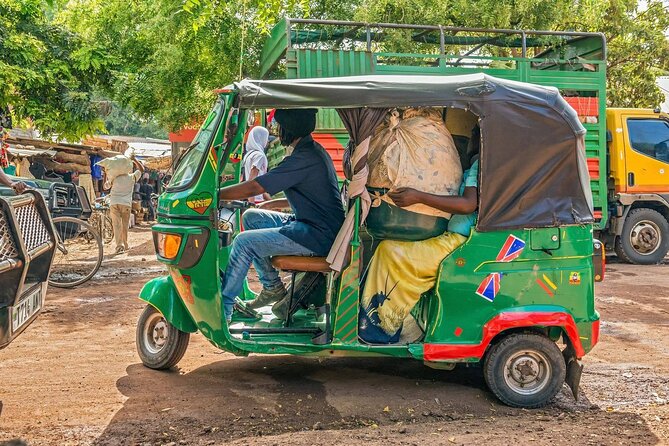 From Arusha: 7 Days Classic Safari Central Northern Circuit - Day 3: Flamingos and forest roads in Lake Manyara National Park