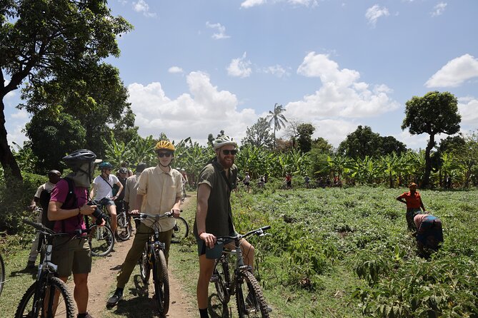 From Arusha: 7 Days Classic Safari Central Northern Circuit - Day 4: Close elephant encounters in Tarangire