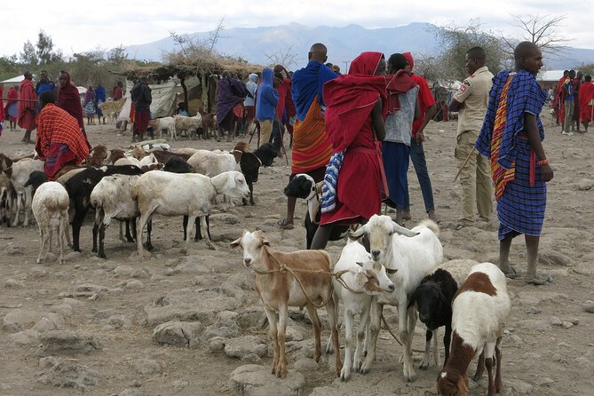From Arusha: 7 Days Classic Safari Central Northern Circuit - Day 5: The long scenic transfer to Karatu
