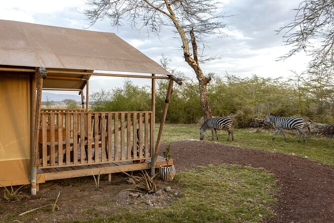 From Arusha: 7 Days Classic Safari Central Northern Circuit - Day 2: A useful pause in the Manyara area