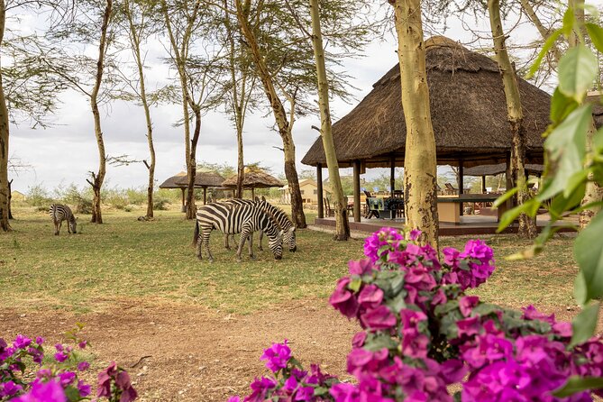 From Arusha: 9 Days Private Guided Classic Game Drive in Tanzania - Day 9: Returning to Arusha