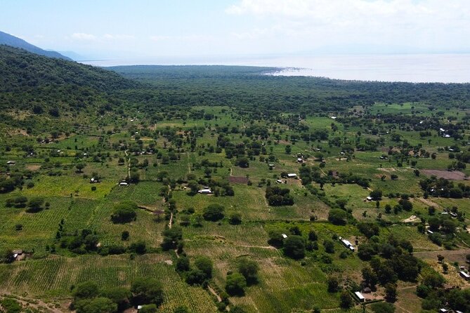 From Arusha: 9 Days Private Guided Classic Game Drive in Tanzania - Day 1: Tarangire’s elephant country
